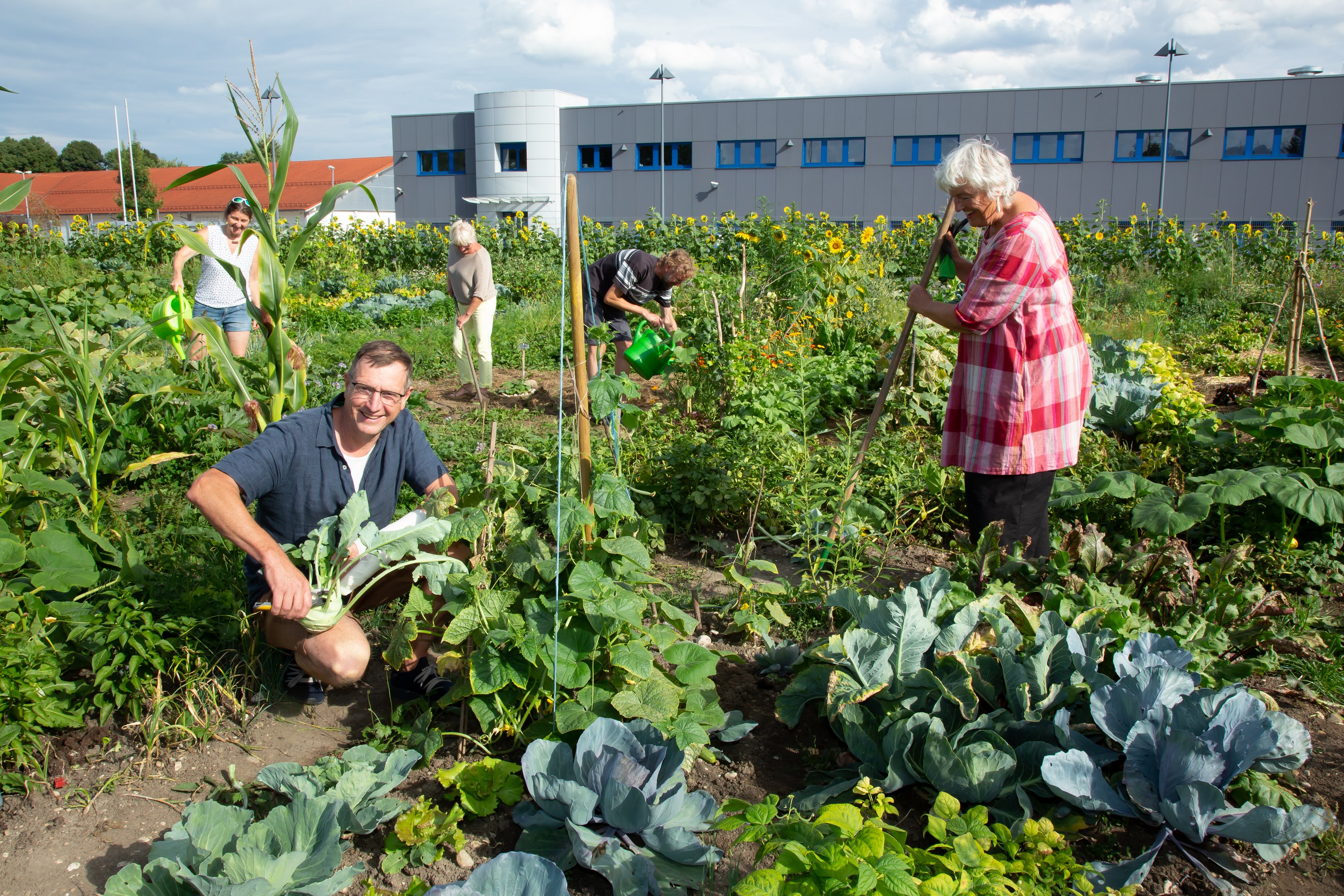 220730_gemeinschaftsgarten_uli_steiner_systemformstrassefotoberger.jpg