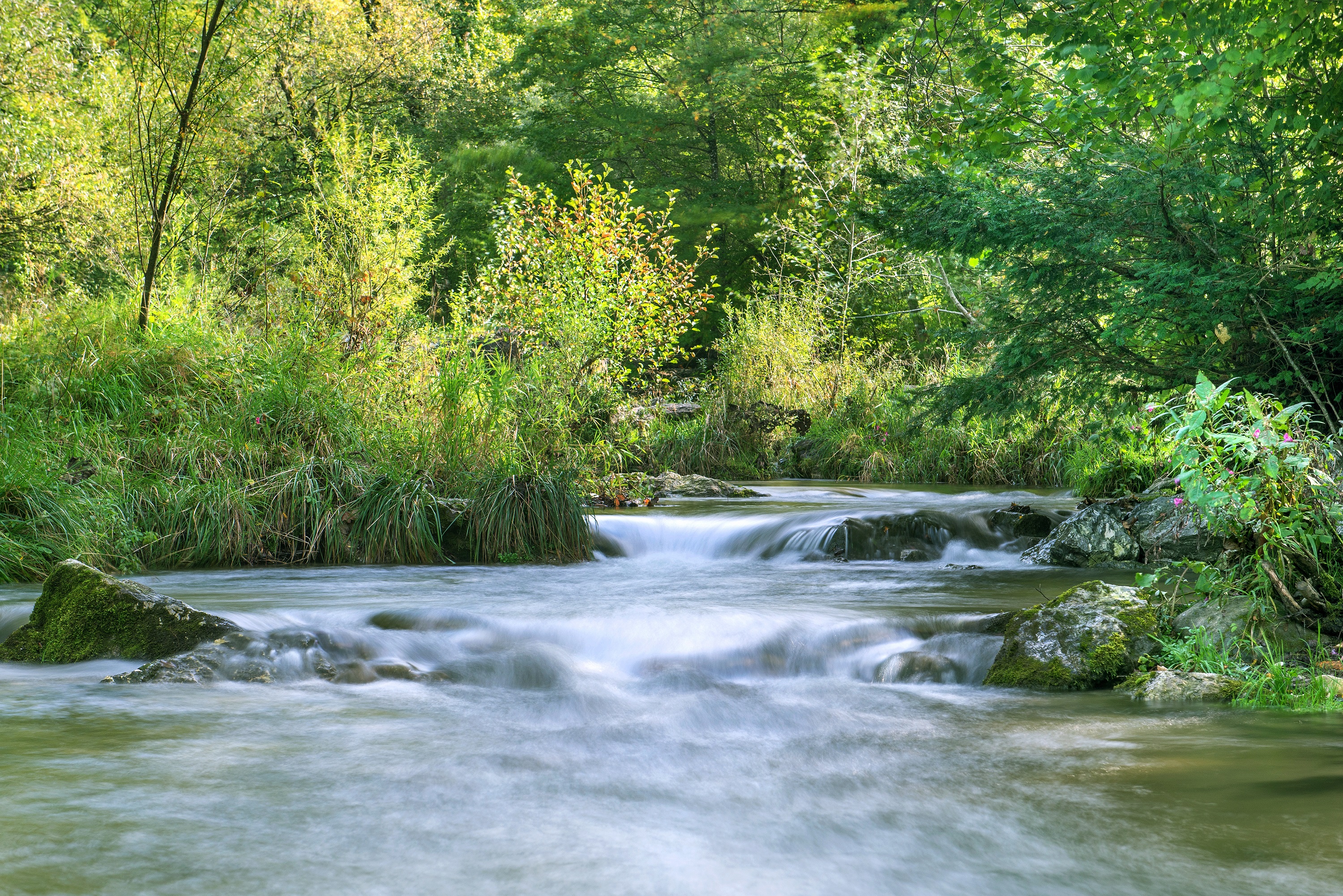 flusslandschaft_ghirardini.jpg