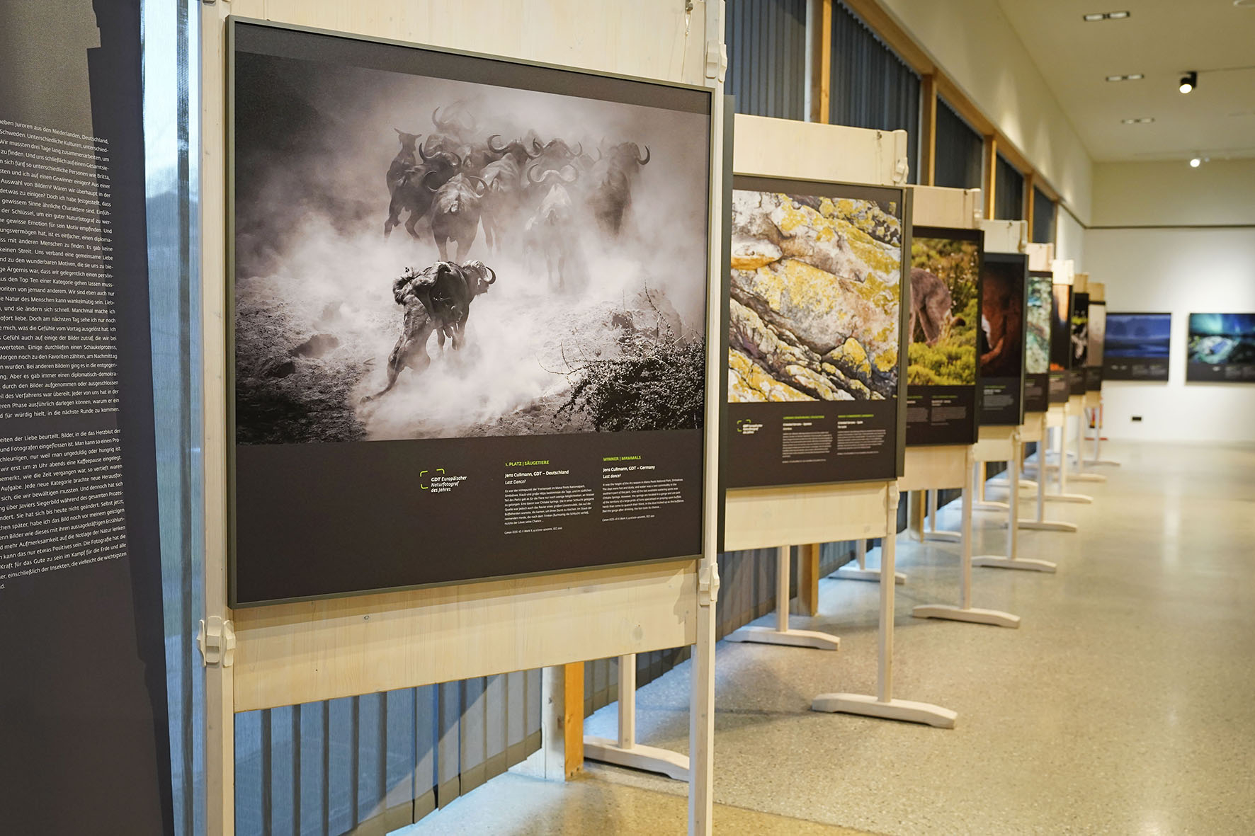 haus_der_berge_ausstellung_naturfotograf_des_jahres_und_ausstellung_yellowstone.jpg