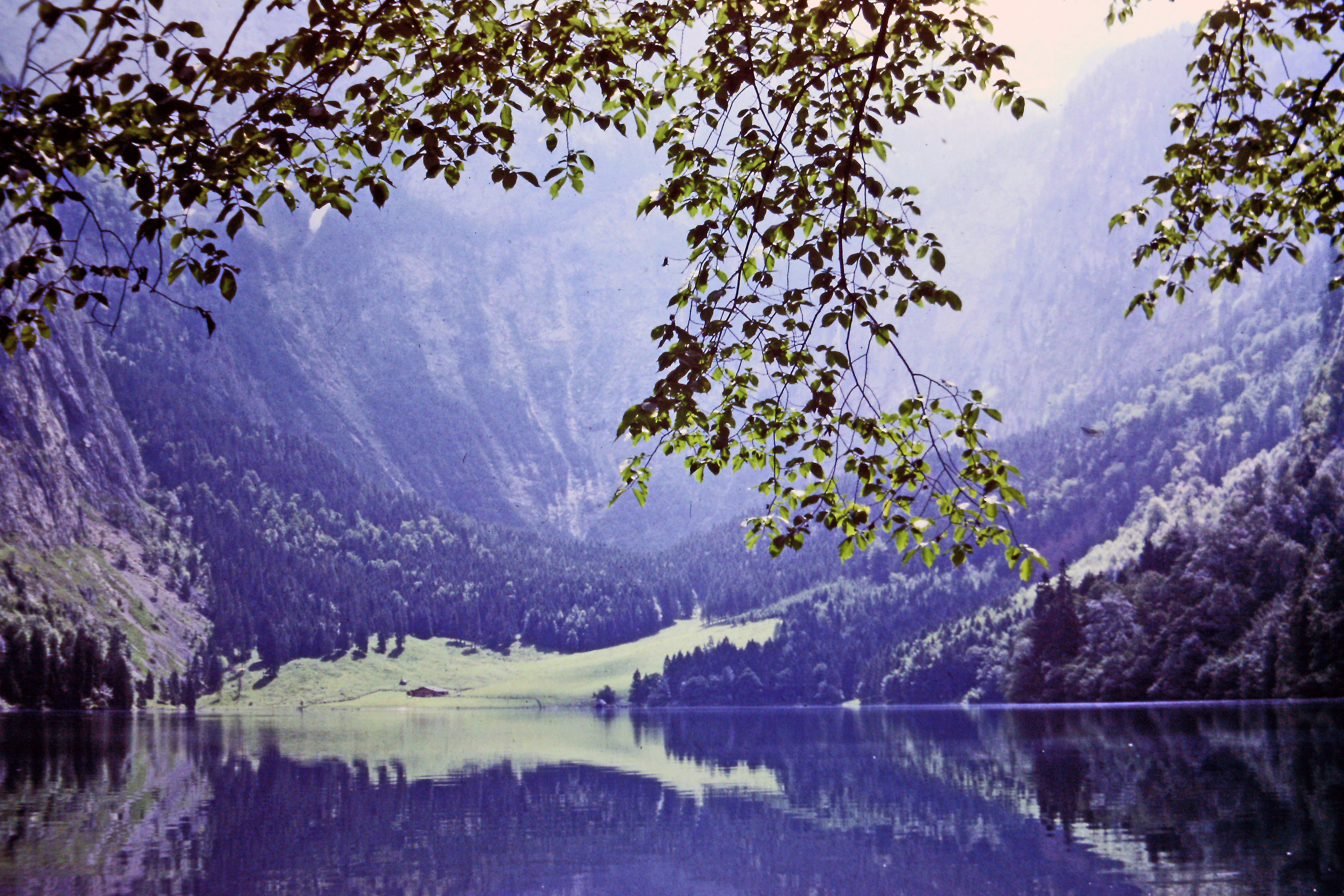 salet_obersee_fischunkelalm.jpg