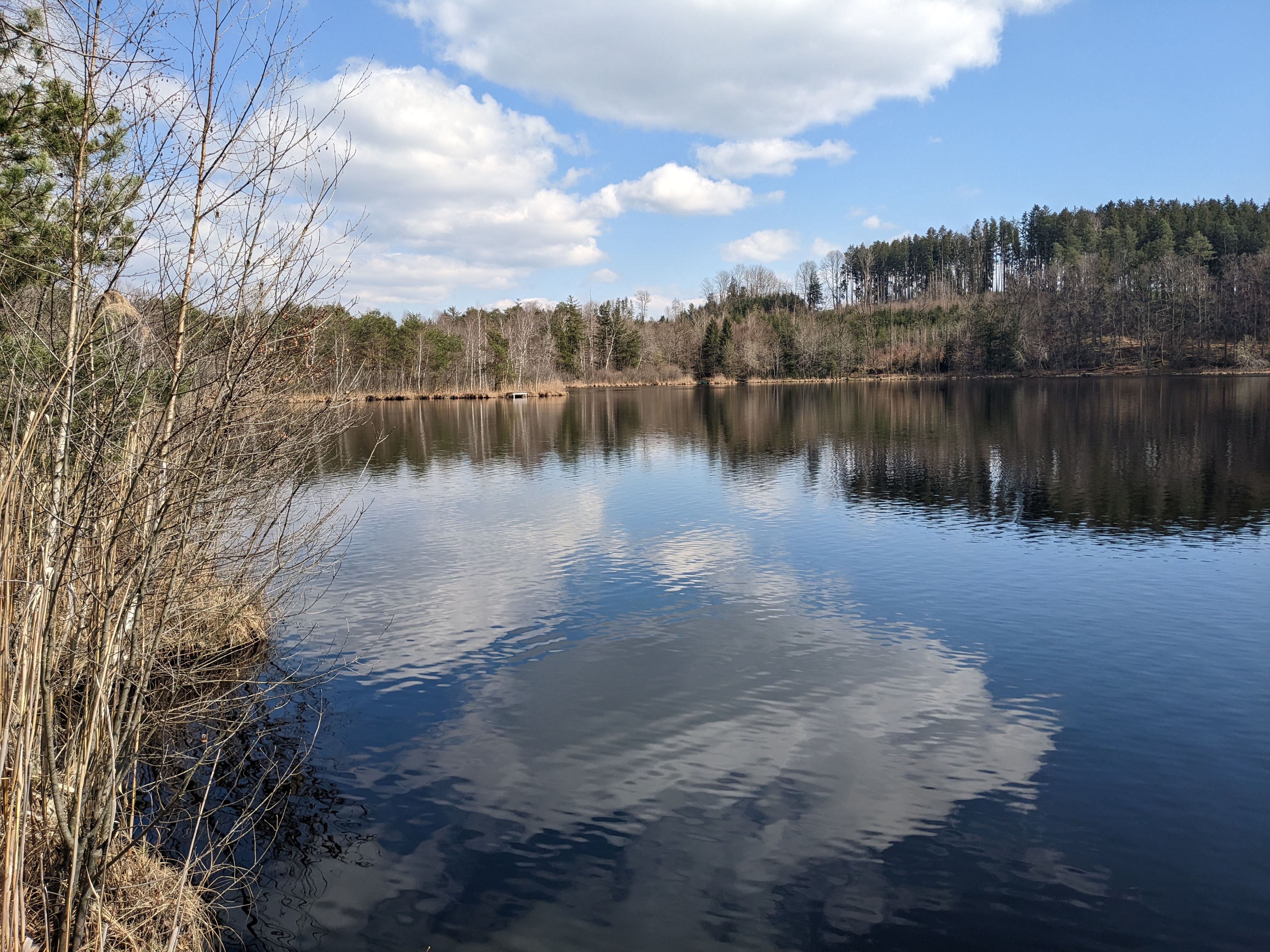 siferlingersee1.jpg