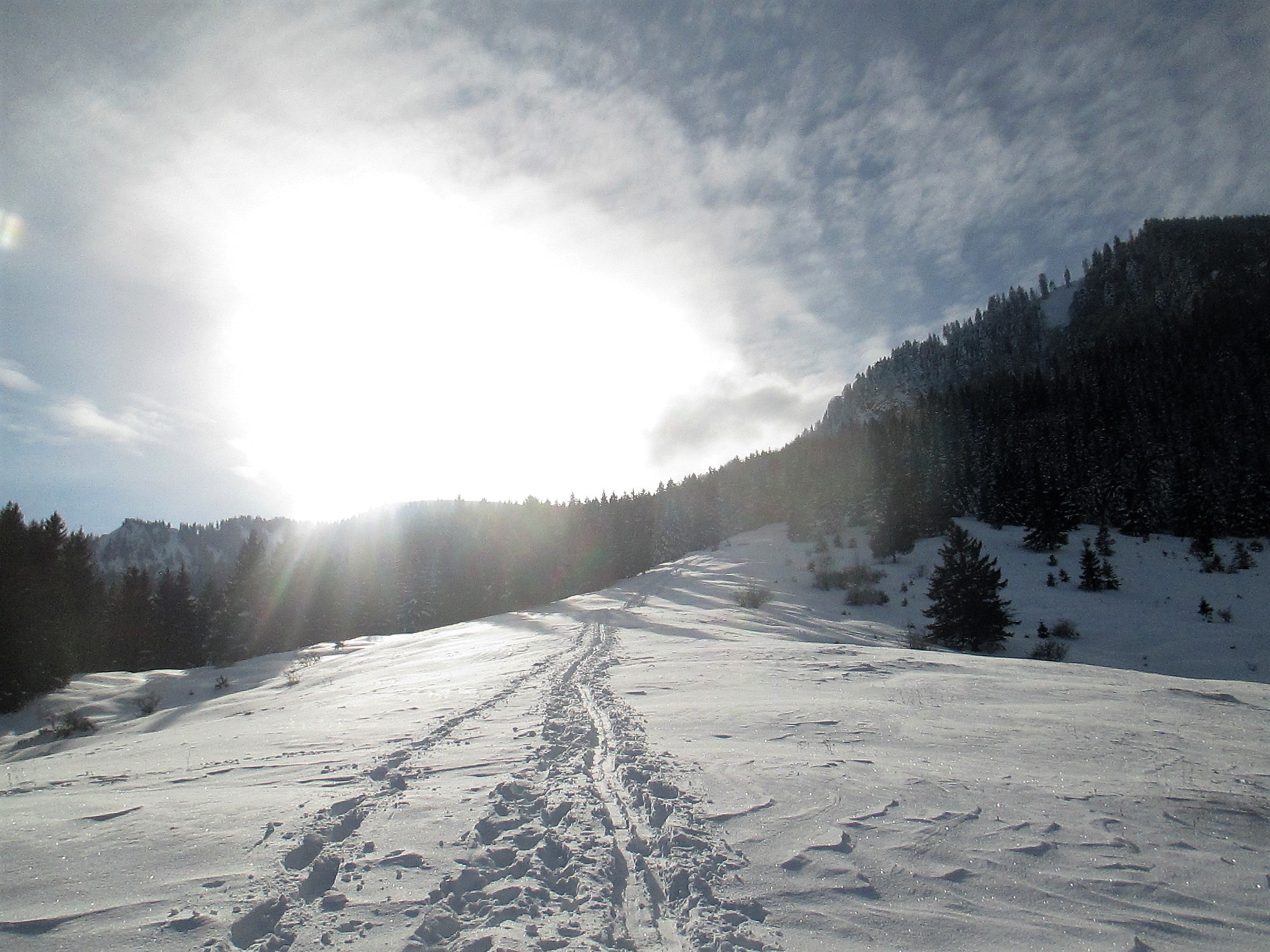 spuren_im_schnee.jpg