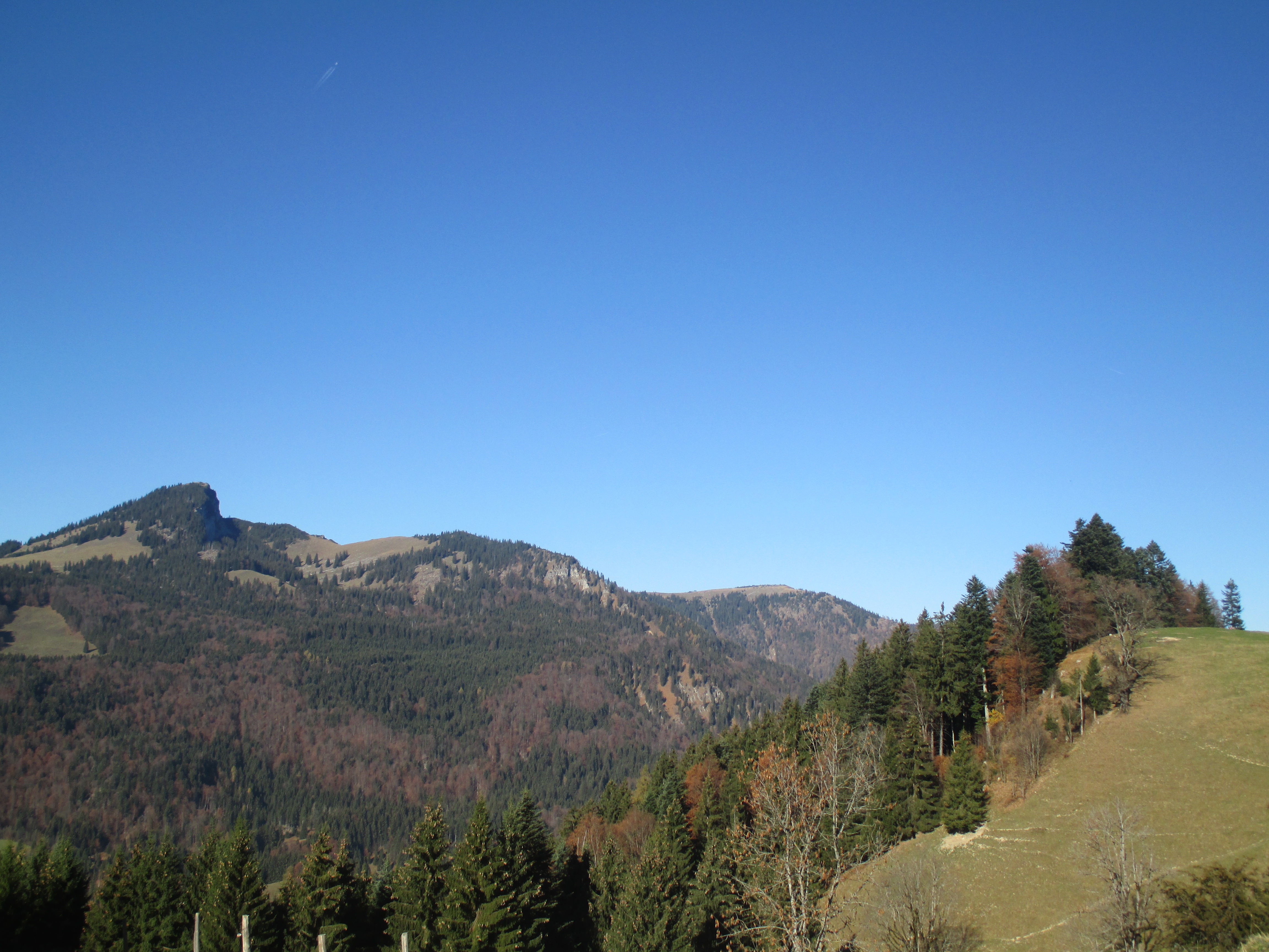 wildbichleralm_spitzstein_brandelberg_zinnenberg.jpg